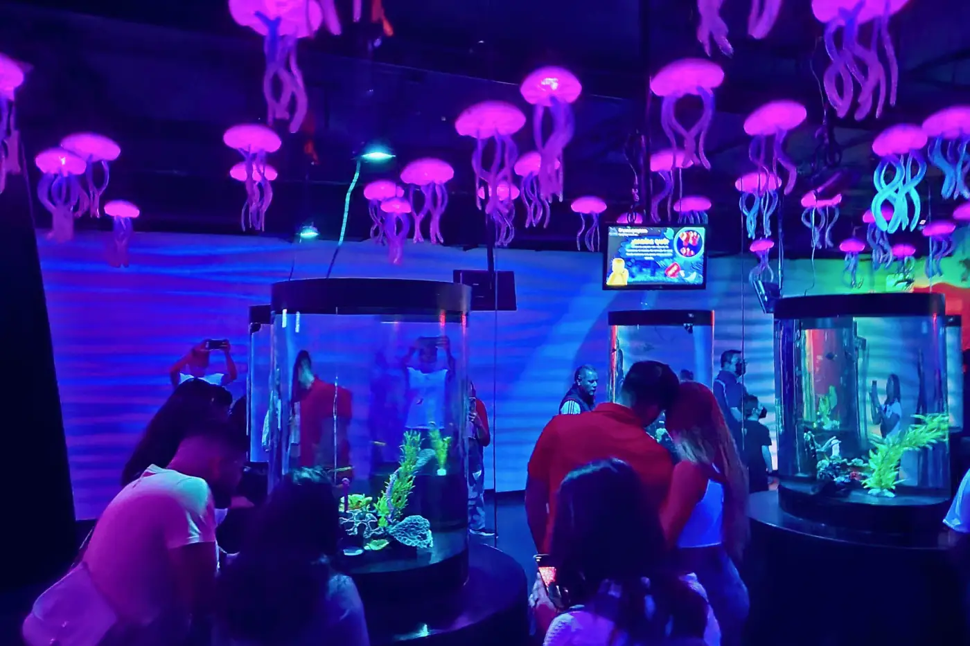 Acuario