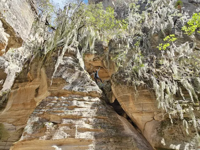 Arriba de la piedra