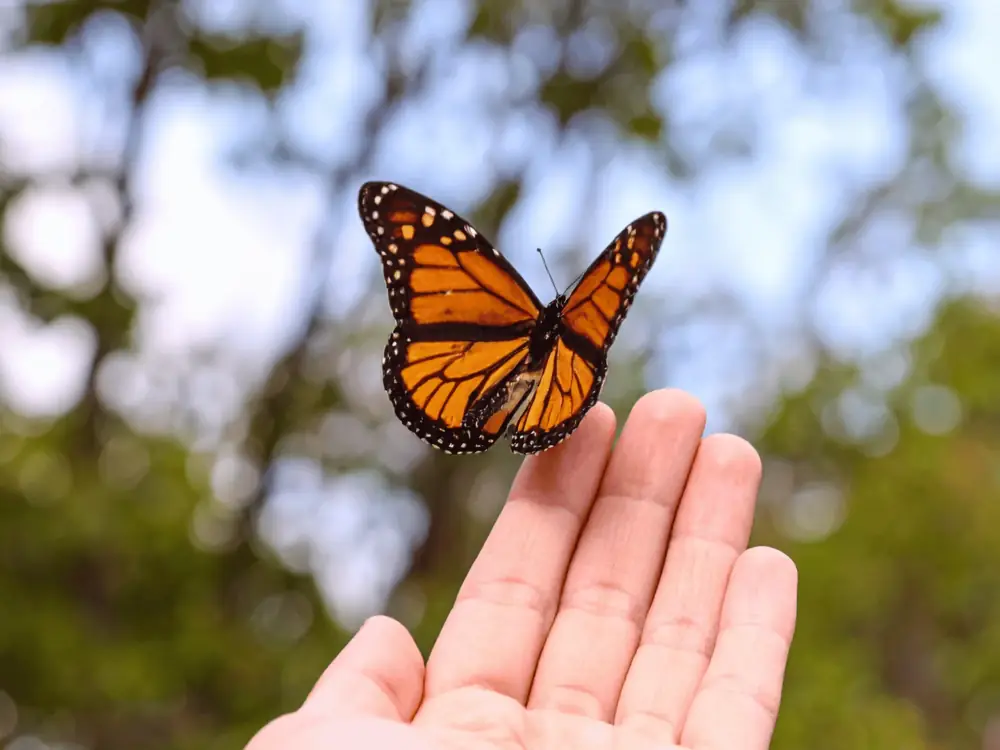 Contacto con la naturaleza