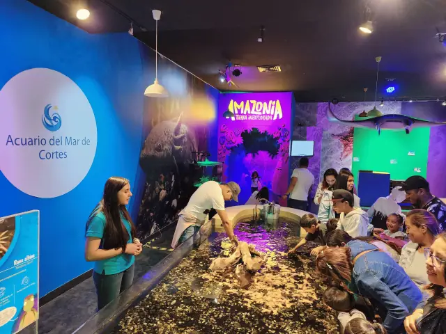 Acuario interactivo