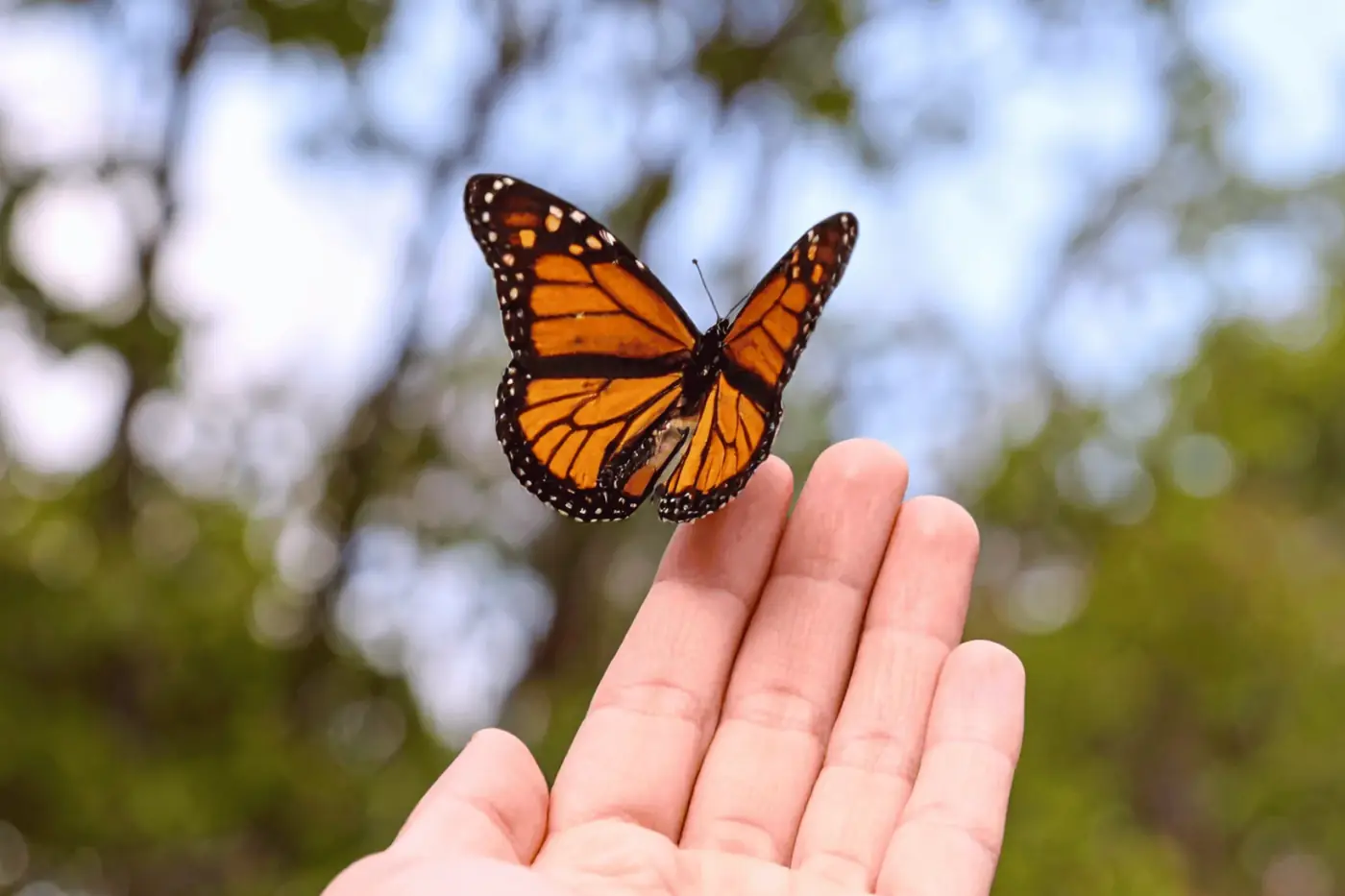 Contacto con la naturaleza