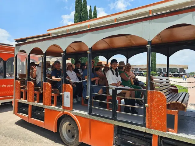 Recorrido en Uva Bus