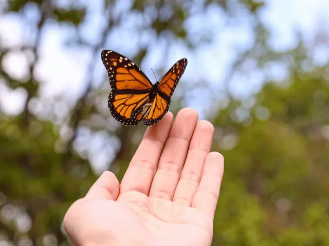 Naturaleza